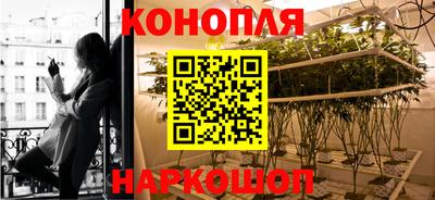 jwh Моздок