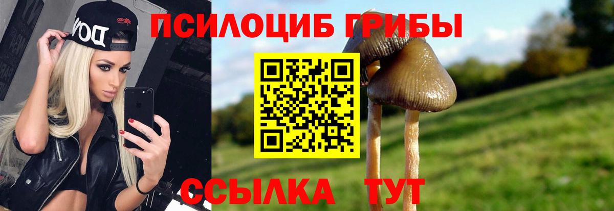 Псилоцибиновые грибы прущие грибы Домодедово