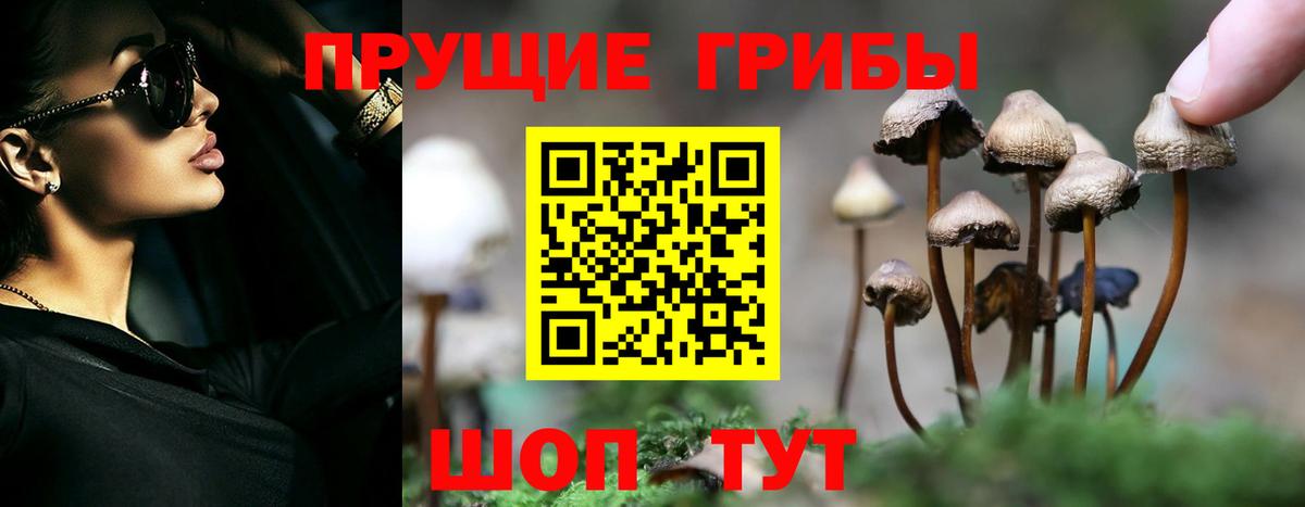 Псилоцибиновые грибы GOLDEN TEACHER  Псилоцибиновые грибы мицелий  Вход с VPN  Домодедово 