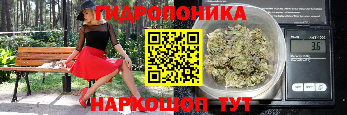 Домодедово  Бошки марихуана план  Бошки марихуана THC 21%  Марихуана Ganja  Шишки марихуана OG Kush  Вход с VPN 